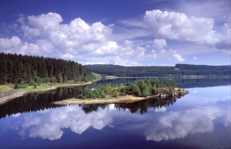                                                                       Kielder Water & Forest Park