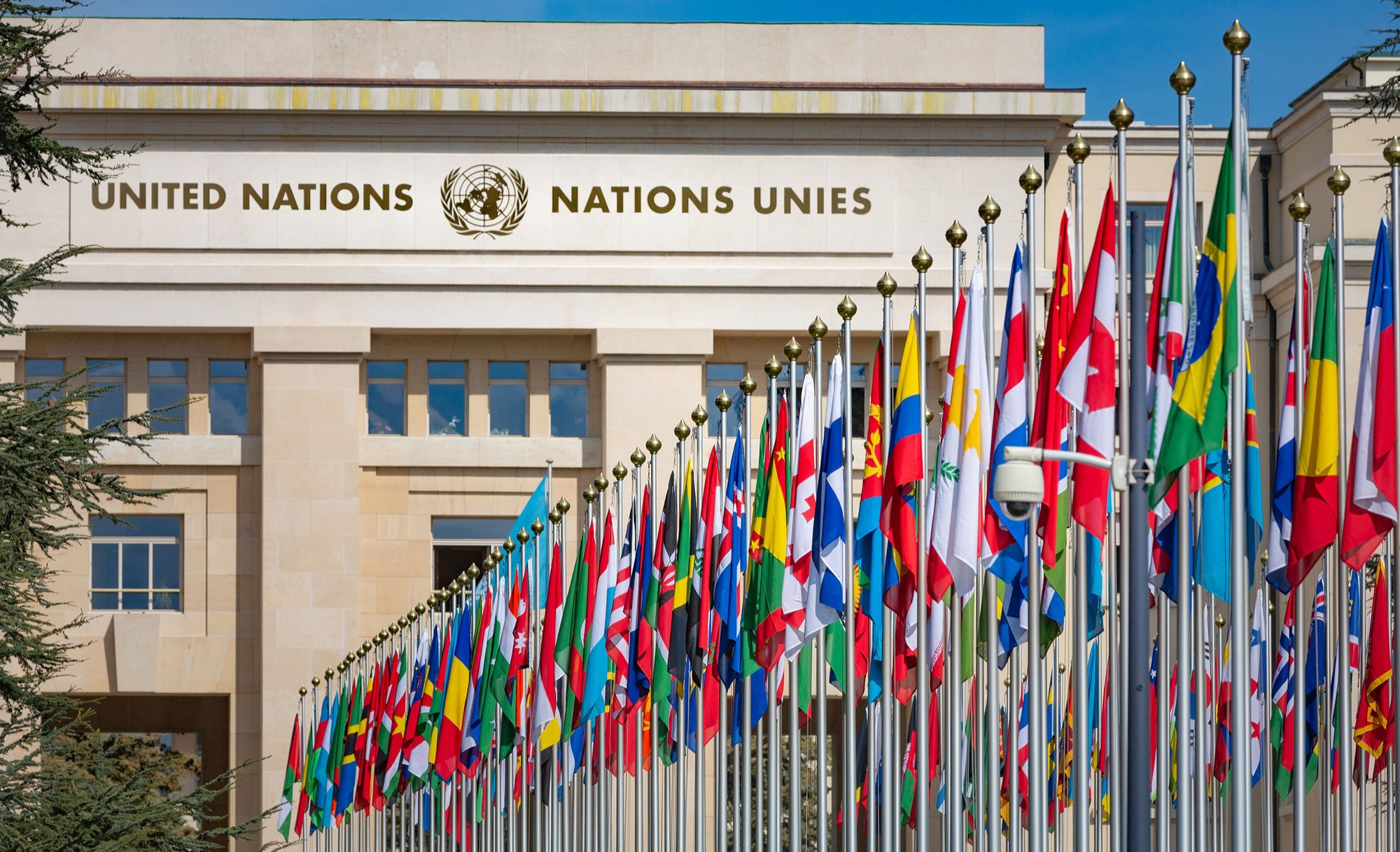 The United Nations
