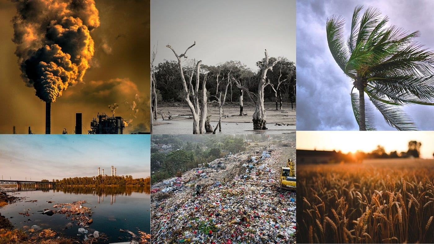 Environmental Effects of climate change