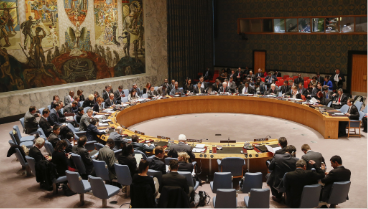 _**UN Security Council**_