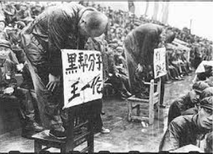 _**Struggle sessions of the Red Guards**_