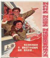_**Down to the Countryside Movement poster**_