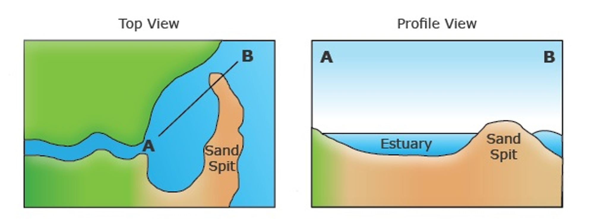 Estuary