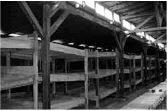 **Image of a wooden prisoner barracks in the former Auschwitz-Birkenau camp**