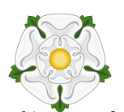 White rose of York