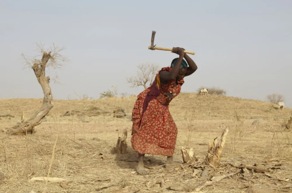                                                                            The Sahel Drought 