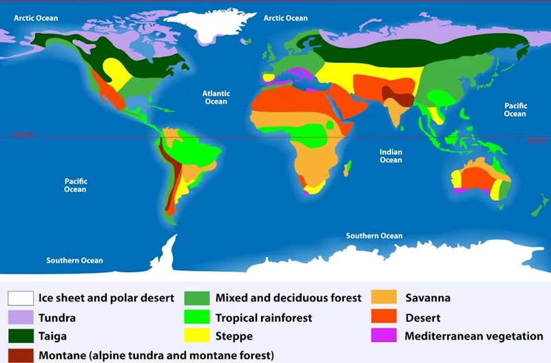Global Ecosystems