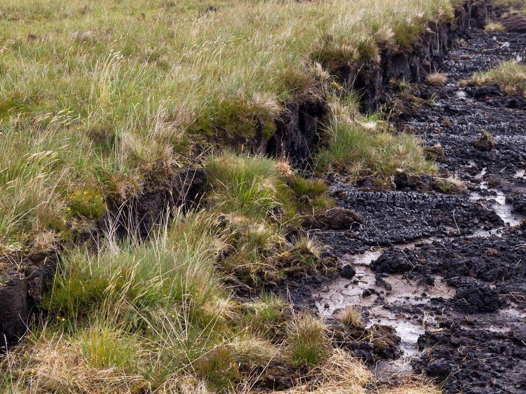 Soil in the West of Ireland is generally poor for agriculture