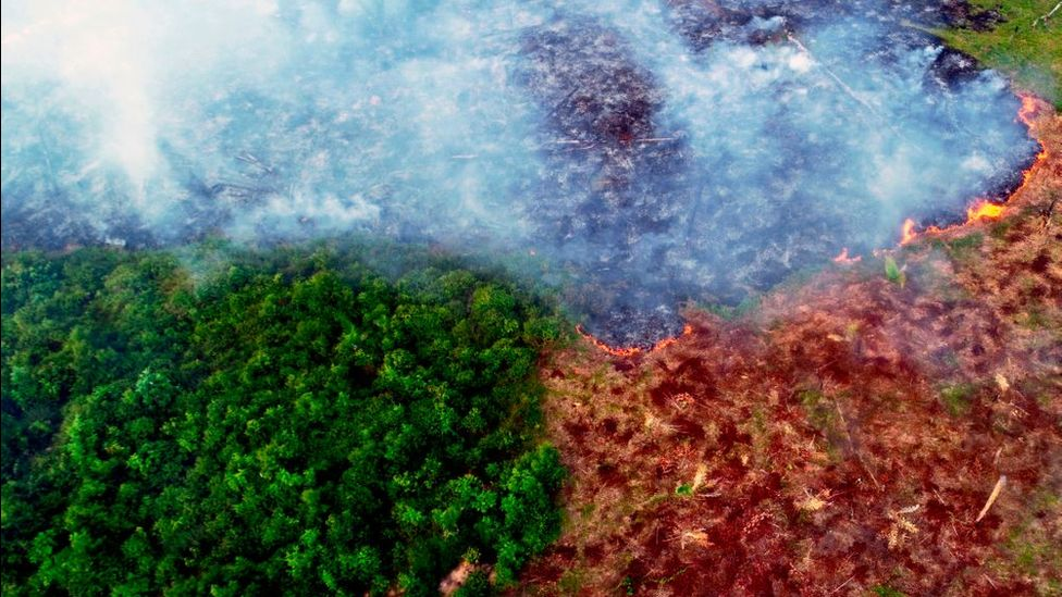                                                           Climate change Amazon regions