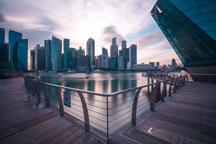                                                                  Singapore Immigration Policy