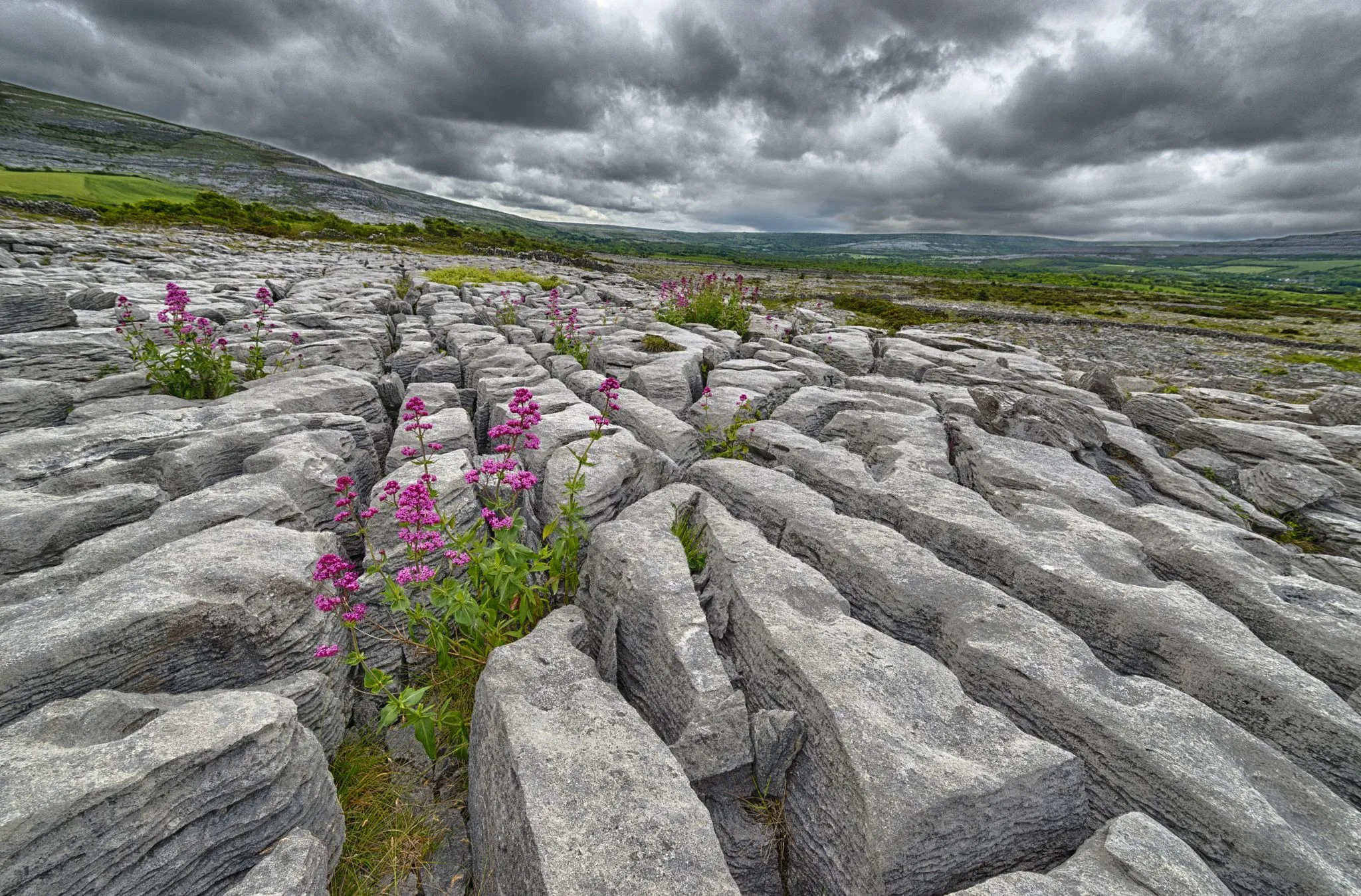 The Burren, Co. Clare 