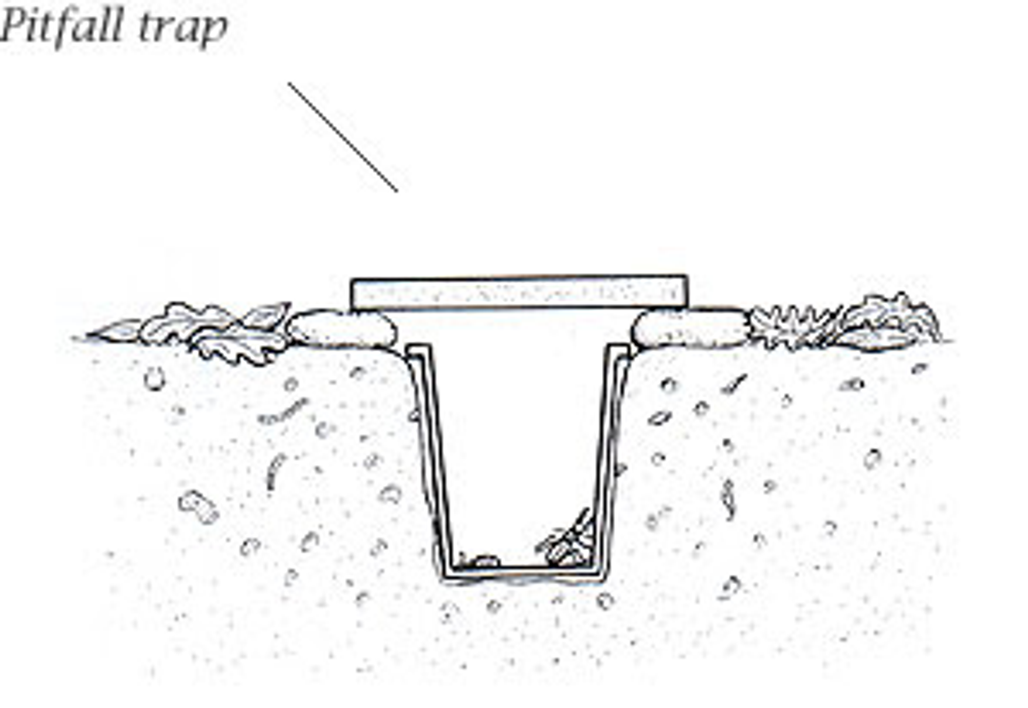 Pitfall trap