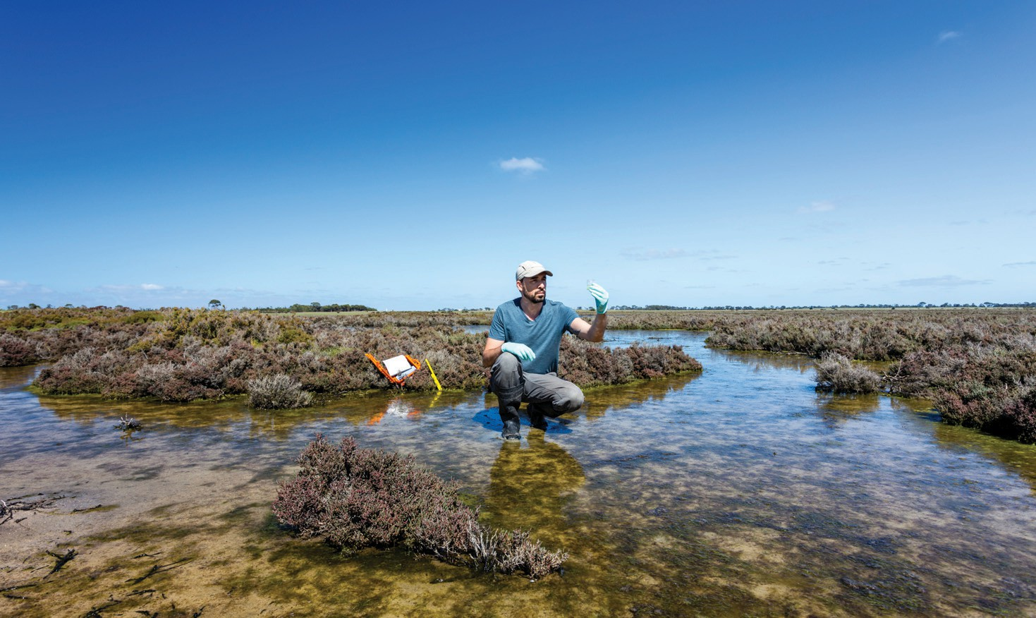                                   Saltwater intrusion, an emerging water quality issue below our feet