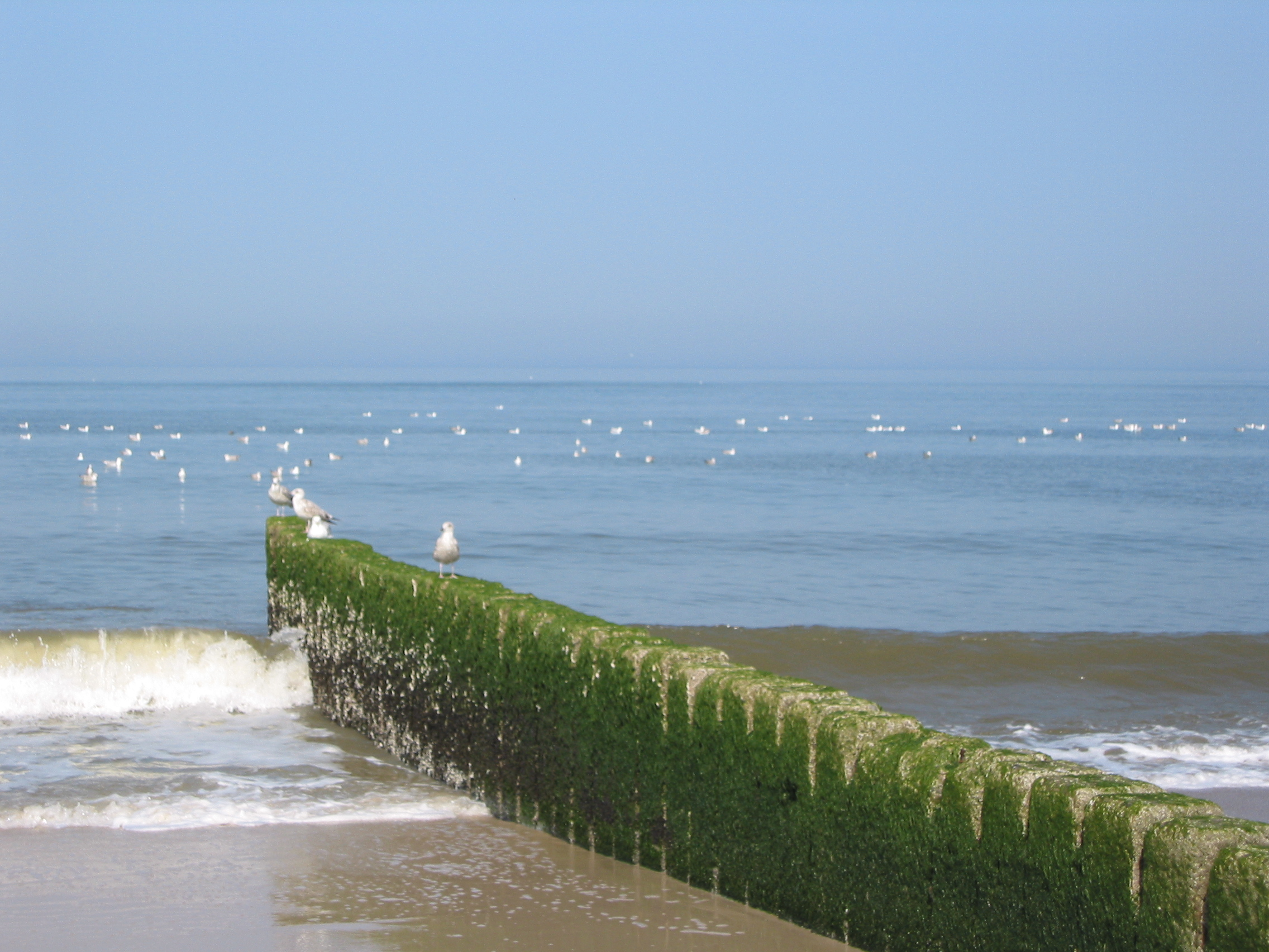 Groynes