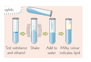Lipids - emulsion test results