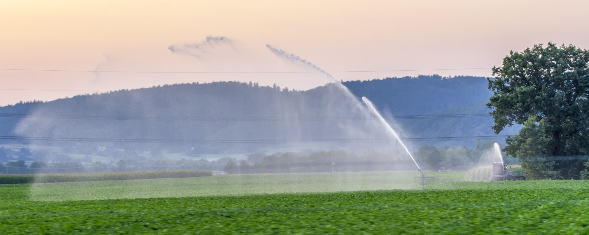 Importance of Water Supply Agriculture