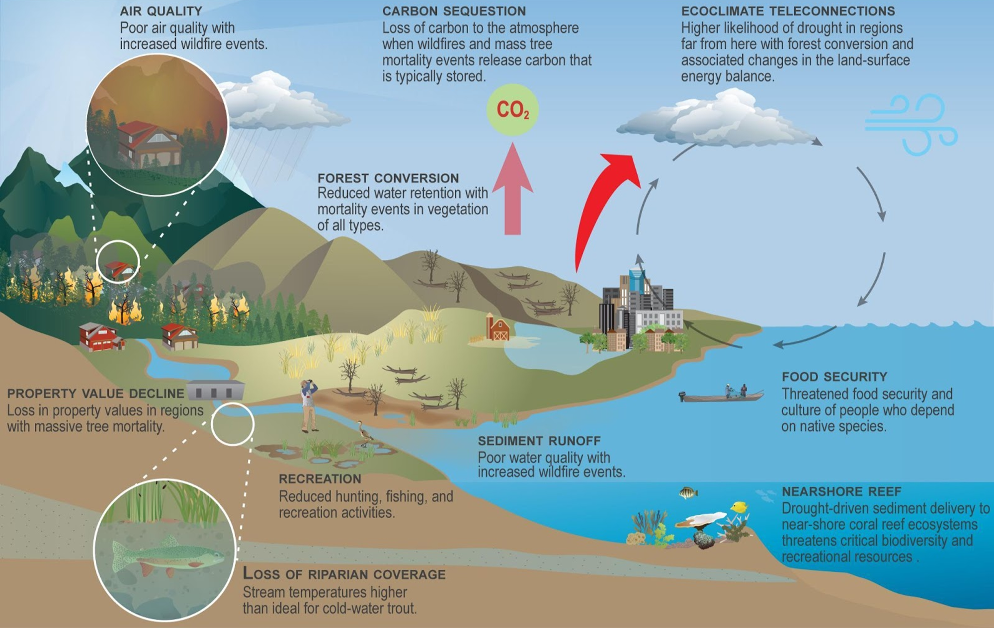 Ecological Impacts of Drought