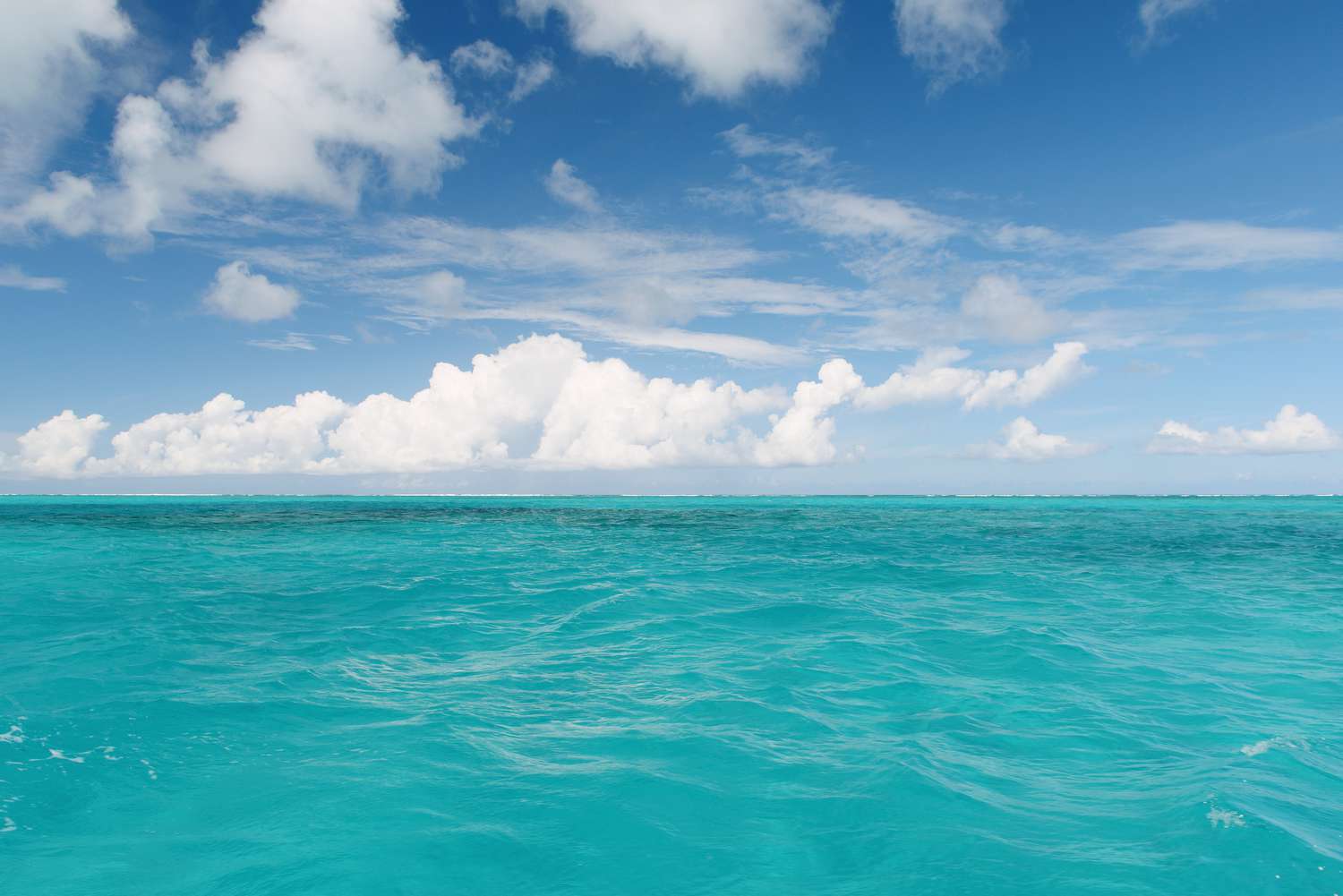 Ocean