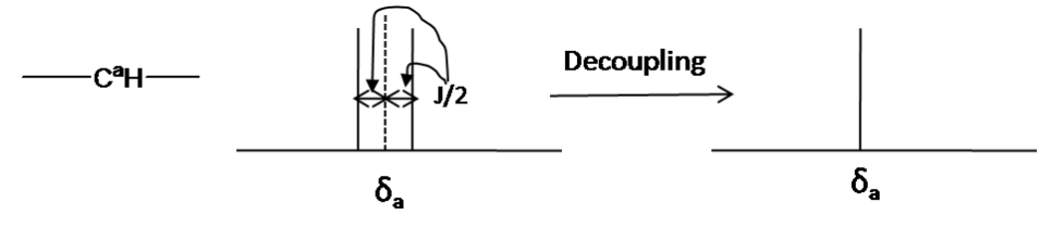 Decoupling in the 13C NMR
