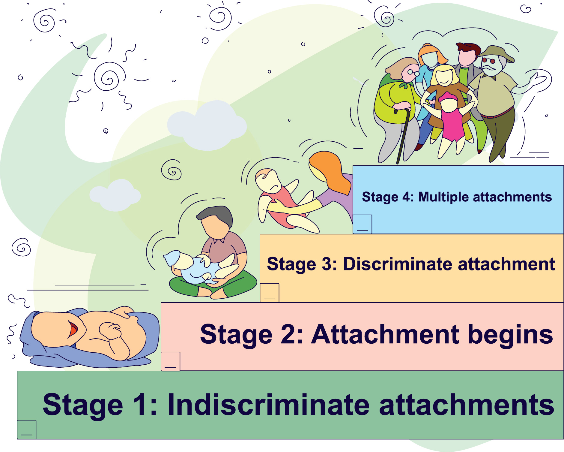 **Stages of forming an attachment**