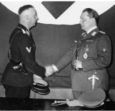 **Image of Göring (right) and Himmler (left)**