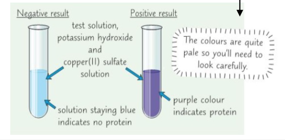 Proteins - biuret test results