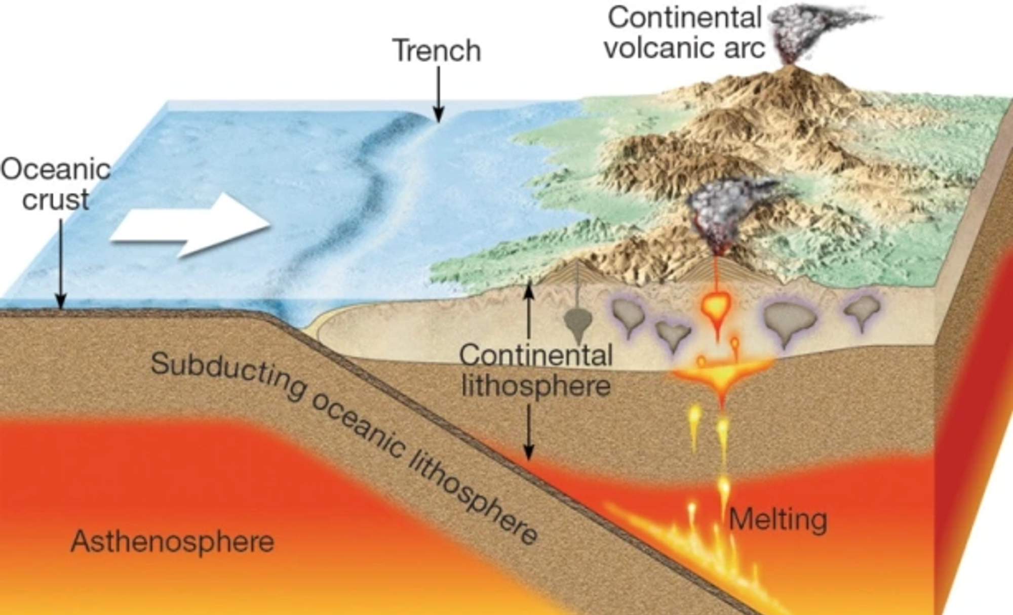**Tectonic activity and hazards**