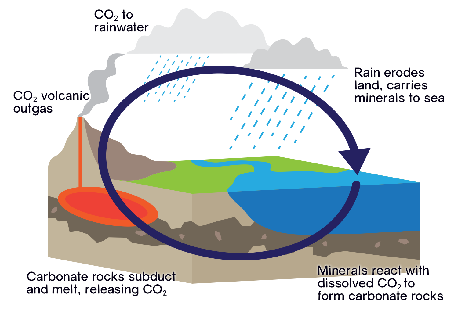 Key Processes in the Geological Carbon Cycle