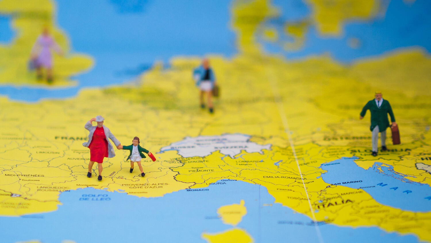                                                                    International Migration
