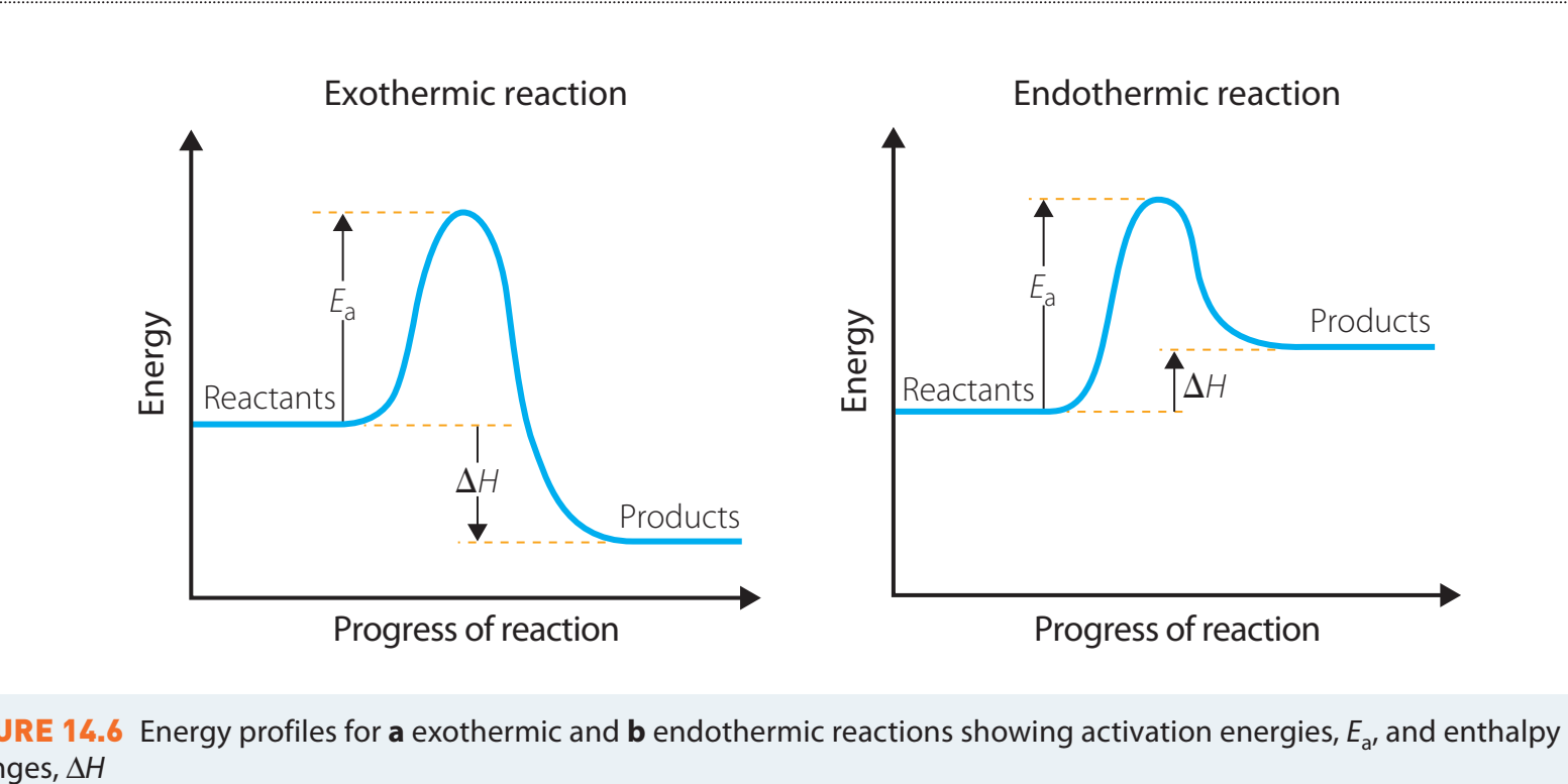 Exothermic Reaction Energy Diagram