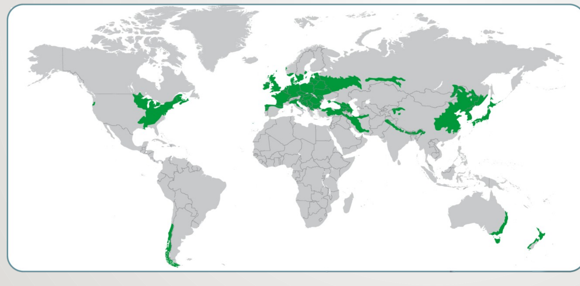 Temperate Broadleaf Forests