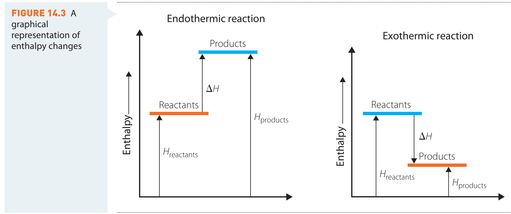 Diagram illustrating exothermic and endothermic processes with energy flow direction.