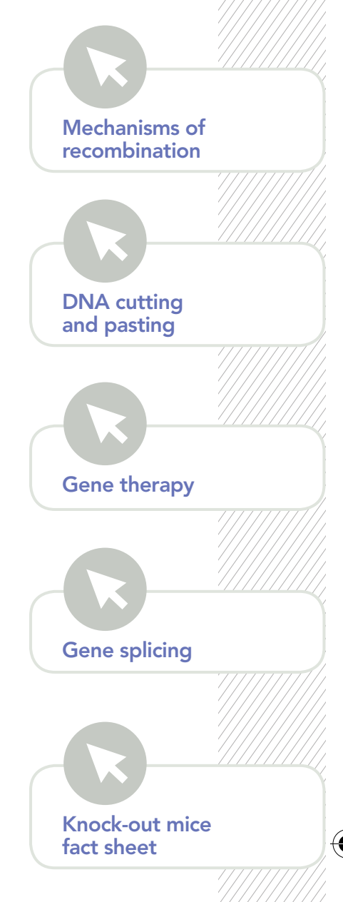 A timeline illustrating key historical milestones in the evolution of genetic technologies, including major breakthroughs like recombinant DNA technology and the emergence of CRISPR.