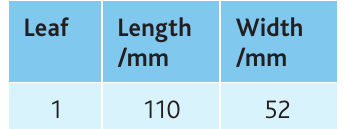Table