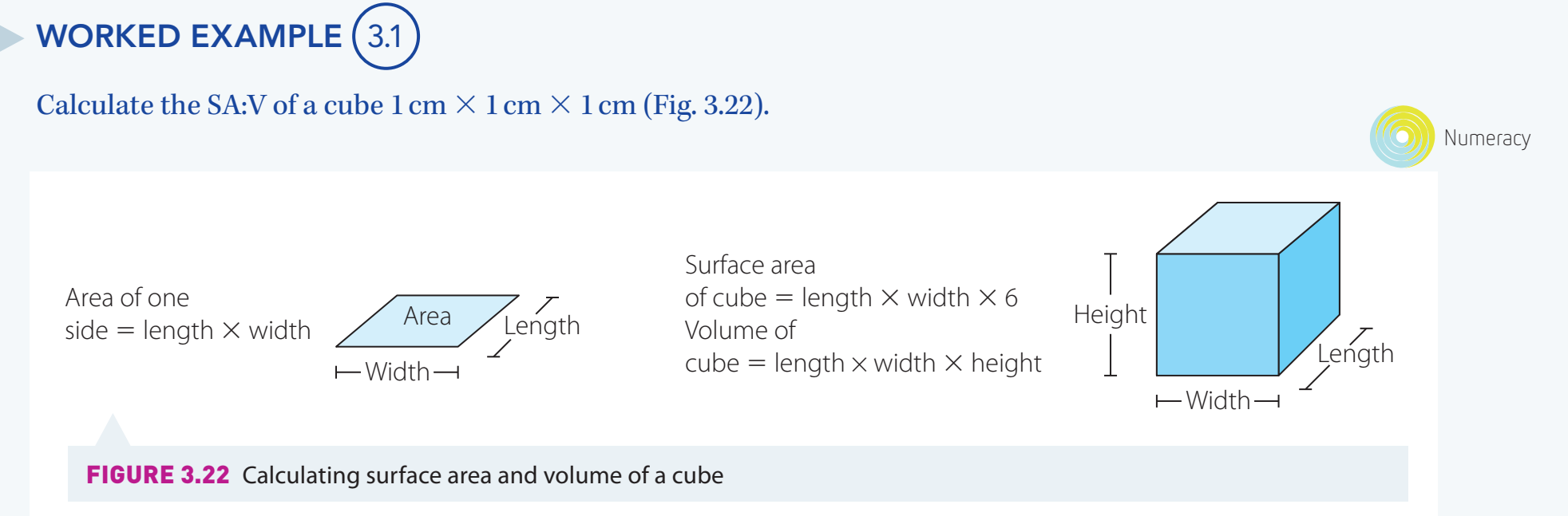 A 3D model showing geometric properties of a cube with emphasis on volume calculation.