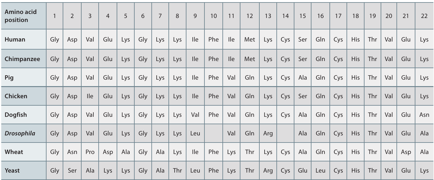 Table