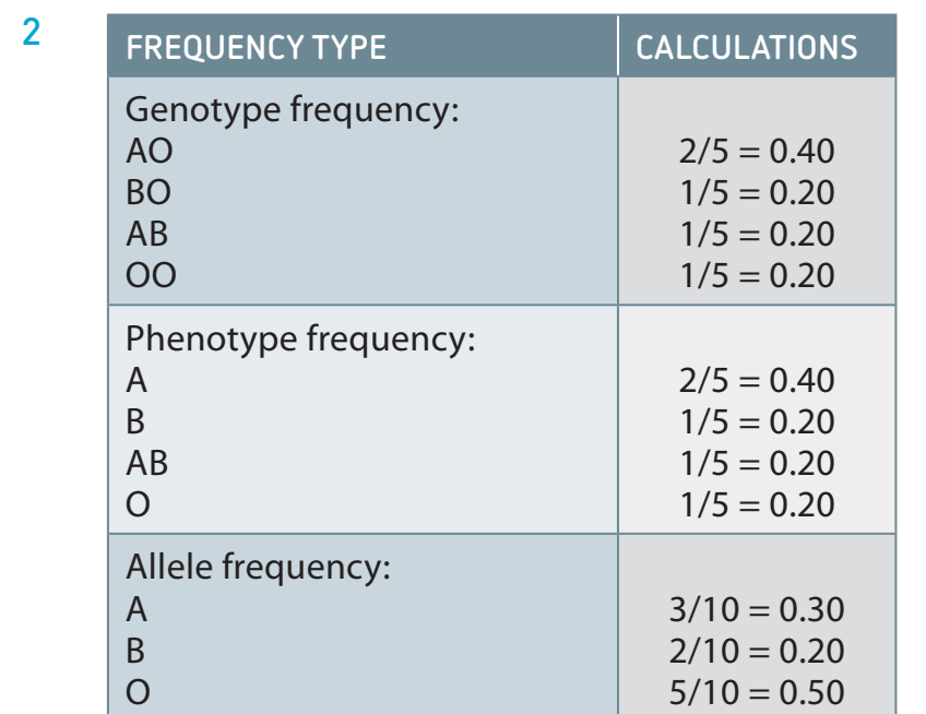 Allele frequencies stability under ideal conditions.