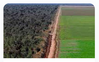 Effect of clearing land for intensive agriculture
