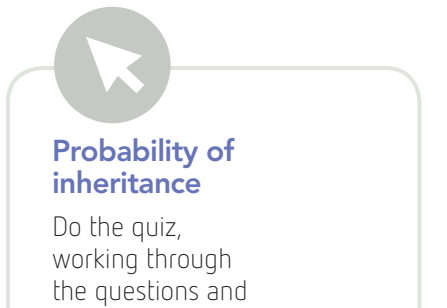 Interactive diagram displaying adjustable probabilities for different events, enhancing visual understanding of the probability scale.