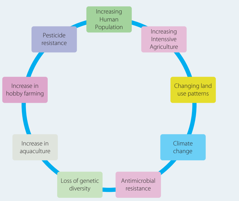 Illustrate the ecological chain reactions triggered by GMO species introduction.