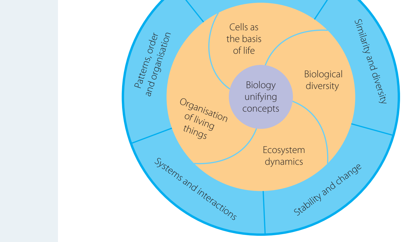 Diagram illustrating biodiversity at genetic, species, and ecosystem levels.