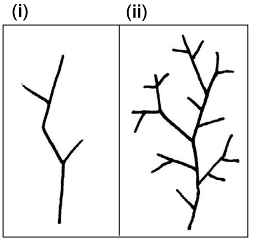 Diagram comparing simple and complex sentence structures.