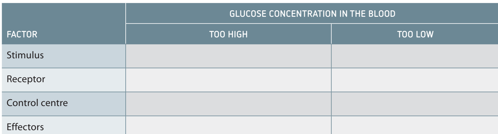 Insulin Pump Diagram illustrating its role in diabetes management, emphasising blood glucose monitoring.