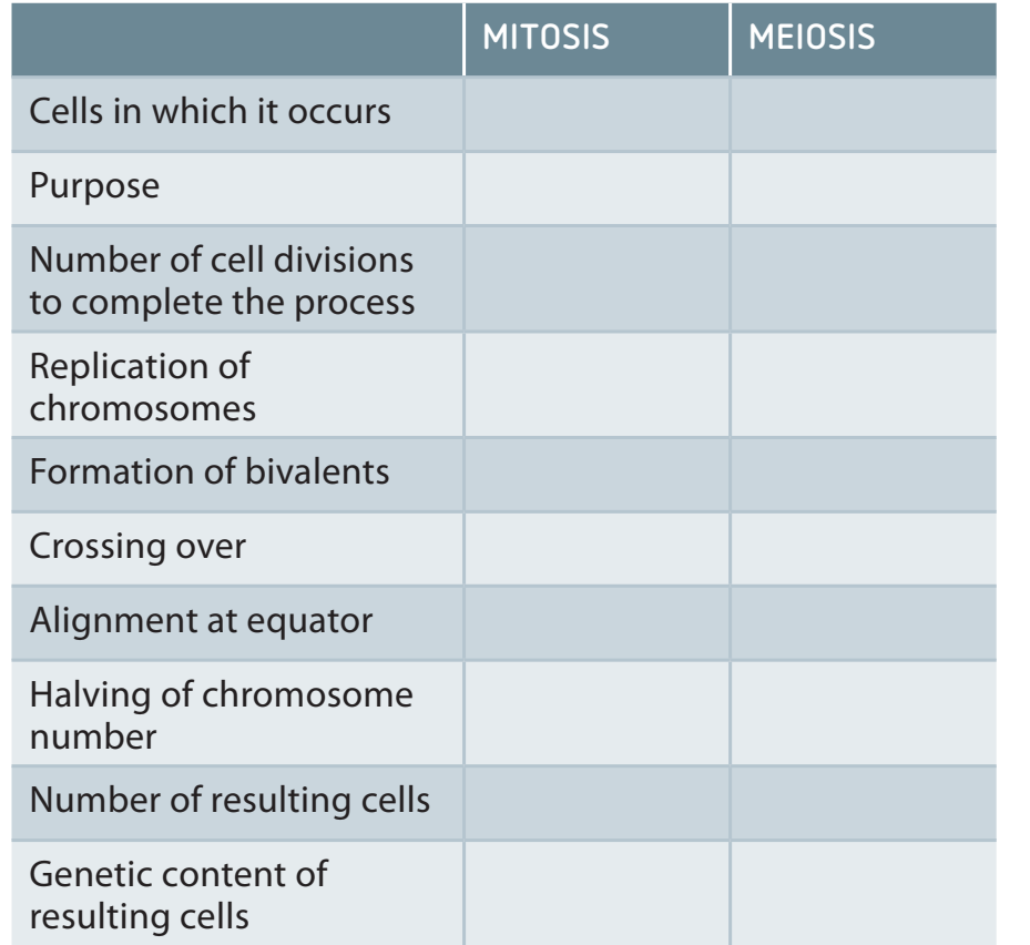 Diagram comparing mitosis and meiosis, emphasizing their roles in genetic variation and continuity.