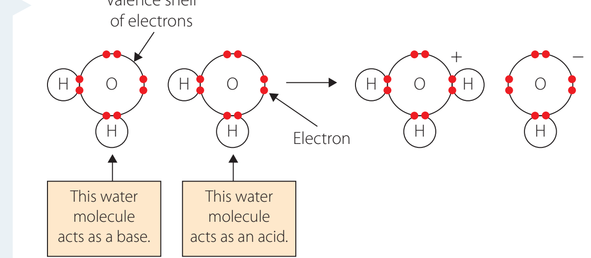 Diagrams showing acid-base and oxidation reactions involving key functional groups.