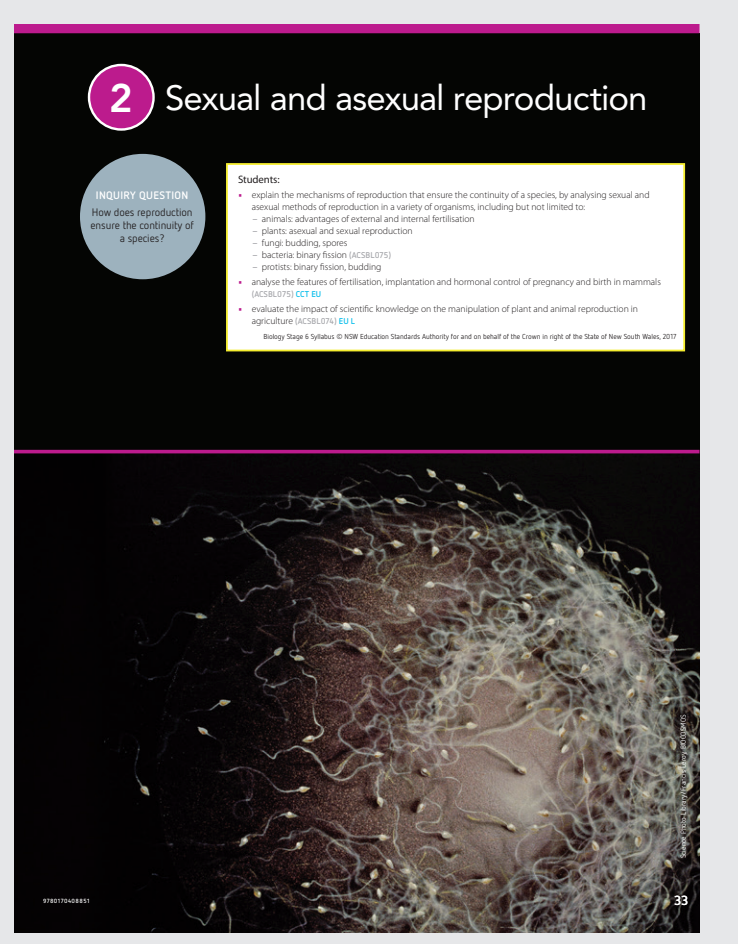 Lifecycle diagrams illustrating sexual and asexual reproduction to emphasize the processes involved.