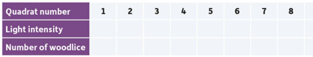 Table