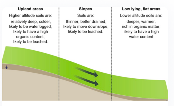 Effects of relief on soil