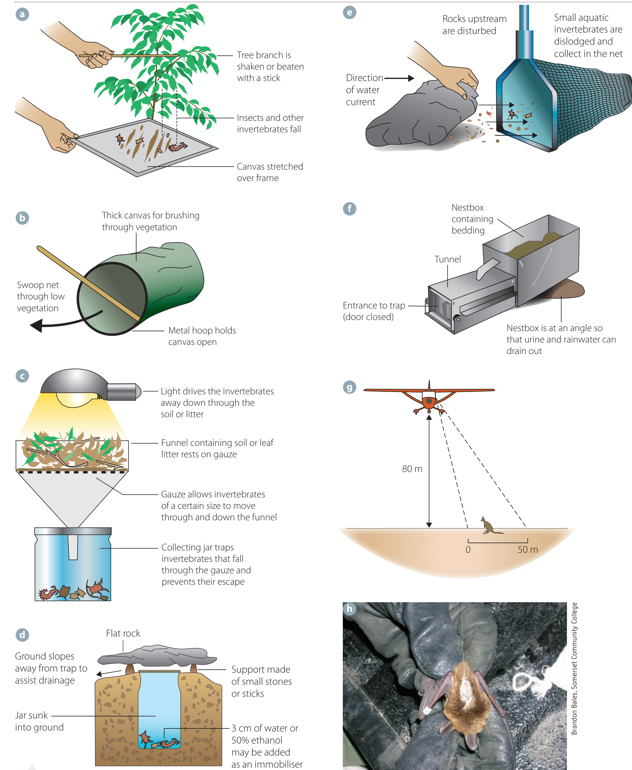 Observation Methods