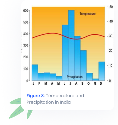 Temperature and Precipitation in India